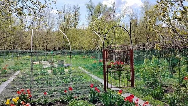 Паводок трёхлетней давности смыл и растения и частично веру в искренность чиновников.