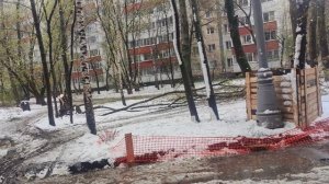 27 апреля БЕСПРЕЛ  что творится во дворах и никто  не чешет репу убрать все это....