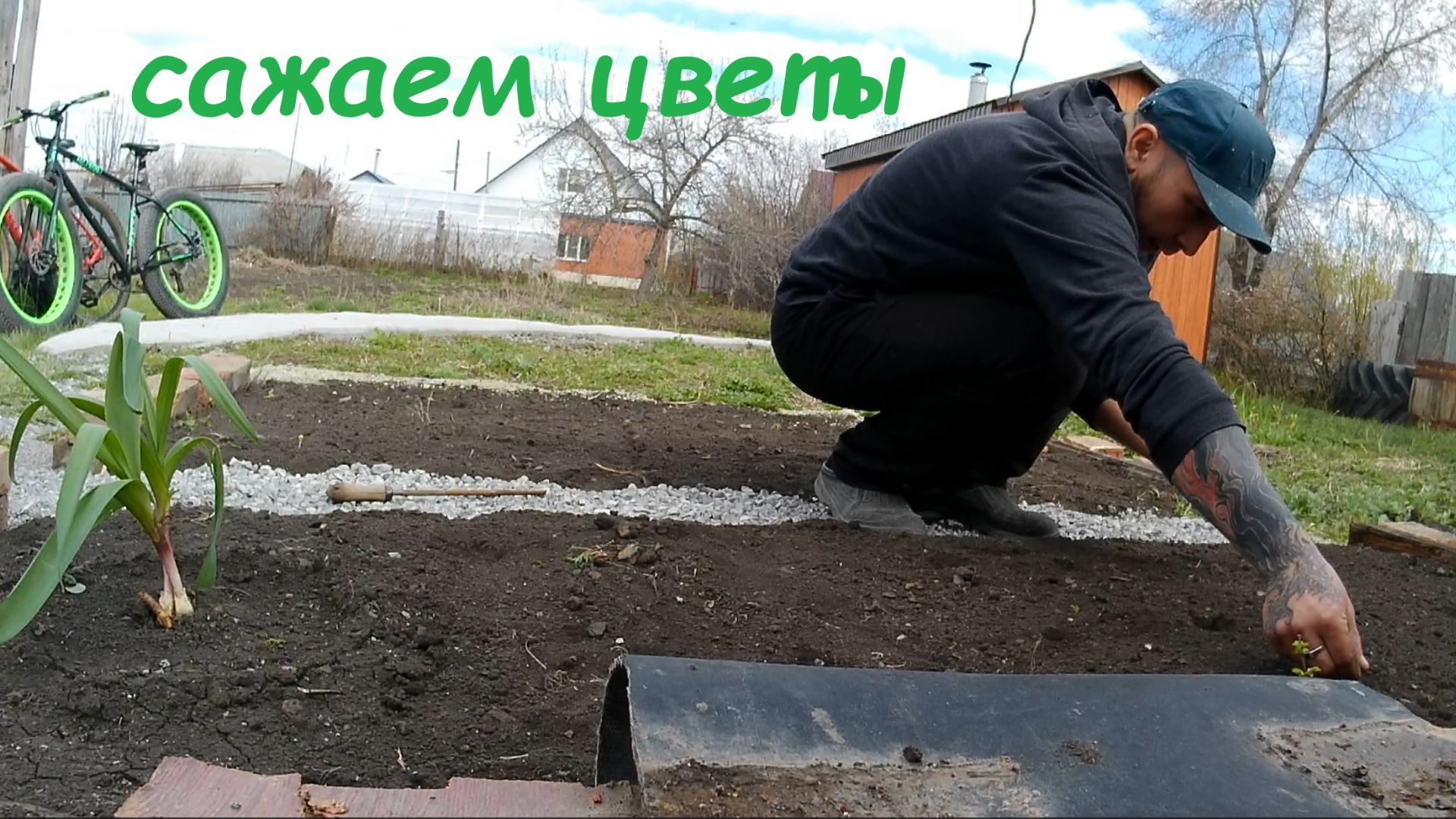 сажаем цветы !🪴