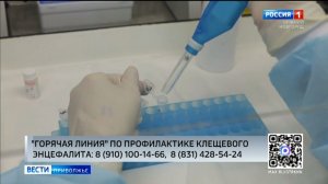 Специалисты Роспотребнадзора ответят на вопросы нижегородцев