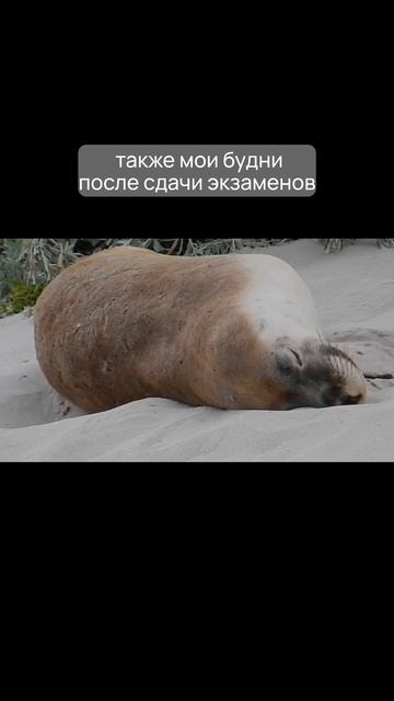 Как у вас проходят летние деньки?