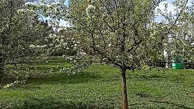 ТОЛЬКО ЛУЧШИЕ 🎧ПЕСНИ АНДРЕЙ ВОРОН. НИНА ЧАЙКА. **БЕЗ ТОРМОЗОВ НАС НЕСЛО**СО МНОЙ ПО НАБЕРЕЖНОЙ. 🧐