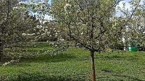 ТОЛЬКО ЛУЧШИЕ 🎧ПЕСНИ АНДРЕЙ ВОРОН. НИНА ЧАЙКА. **БЕЗ ТОРМОЗОВ НАС НЕСЛО**СО МНОЙ ПО НАБЕРЕЖНОЙ. 🧐