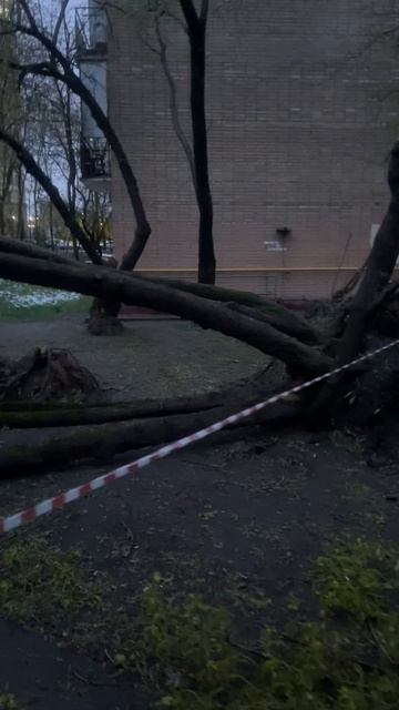 АЛЕКСЕЙ БАБИН