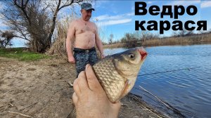 Ведро карася за 30 минут поймал на Волге! Рыбалка - 2026 !!  Михалыч в Астрахани