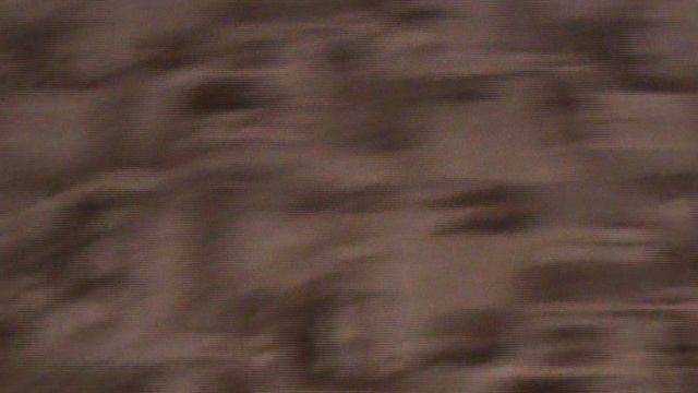 106)ДОМА ПРОВАЖАЕМ 2020 ГОД ПАПА И ВИОЛЕТТА