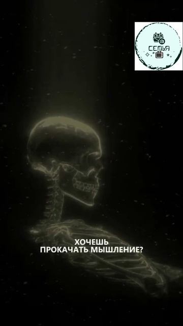 ОТКУДА БЕРУТЬСЯ СНЫ КОТОРЫЕ СБЫВАЮТЬСЯ