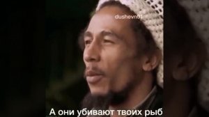 video_2026-04-28_20-12-38