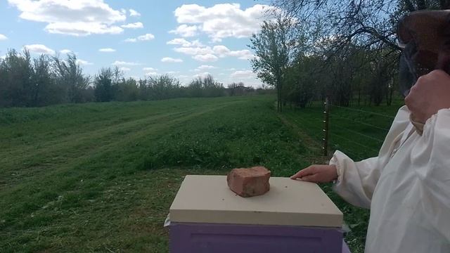 Формирование миниплюсов.