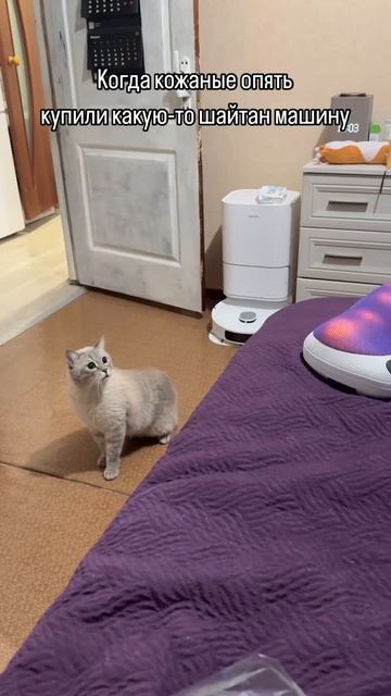 Автор видео: Svetikcool40