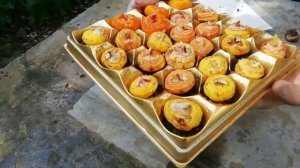 Выращивание гладиолусов в горшке. Обзор.