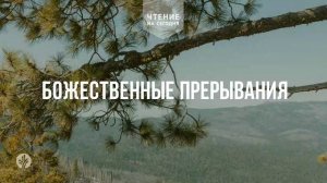 БОЖЕСТВЕННЫЕ ПРЕРЫВАНИЯ  | АУДИО |	1 	  мая 2026