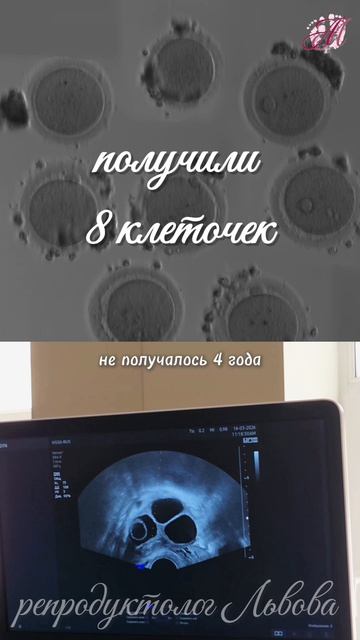 У каждой свой путь и история