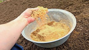 Отличное удобрение для почвы весной, если нет навоза