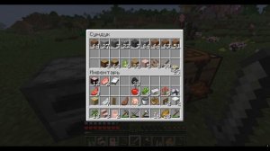 Майнкрафт Ванильное выживание 3