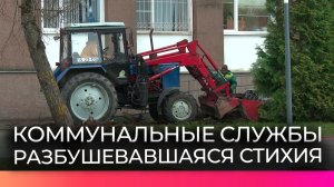 Коммунальные службы продолжают ликвидацию последствий сильного ветра в Великом Новгороде