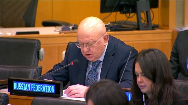 Statement By Vasily Nebenzia At 48th Session Of UNGA Committee On Information