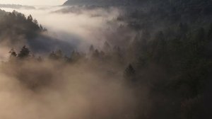 Трейлер наша планета
