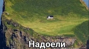 Поздний обзор на мистер чел в Яндекс играх