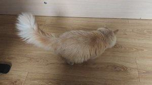 Так себе кофе