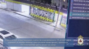 «Цветочный Робин Гуд» задержан в Нижнем Новгороде