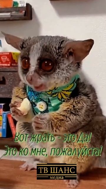 Работа....жрачка.... #работа #работяга #рабочий #жрать #жрачка #жратва #пожрать #кушать #еда #голод