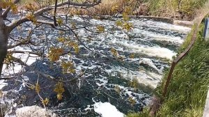 Река является важным источником питьевой воды