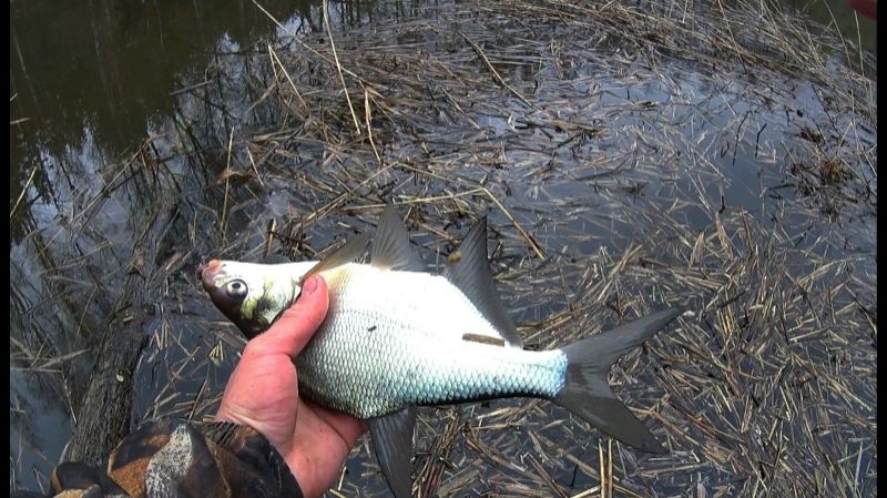 ВЕСЕННЯЯ РЫБАЛКА НА МОРМЫШКУ!!! 🔥🔥🔥