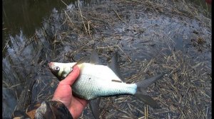 ВЕСЕННЯЯ РЫБАЛКА НА МОРМЫШКУ!!! 🔥🔥🔥