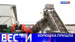 Вести Санкт-Петербург. Выпуск 11.30 от 28.04.2026