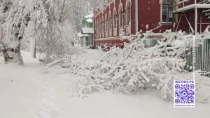 Специалисты устраняют последствия разгула стихии в Вологодской области