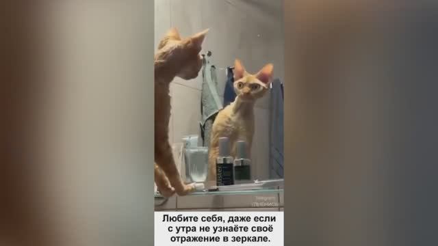 Была я у психолога.Женский  гимн