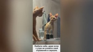 Была я у психолога.Женский  гимн