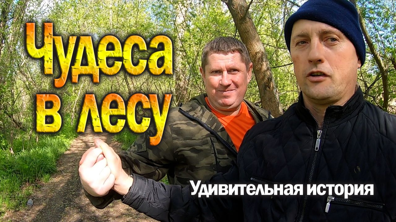 Чудеса в лесу! Удивительная история. Смотреть до конца.