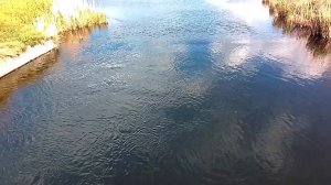 Спокойная водная гладь с легким течением.