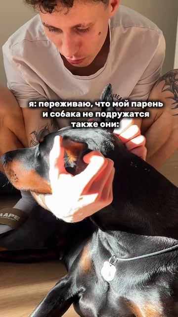МИЛОСТИ 