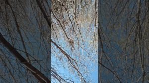 Poppy Playtime 1 в реальной жизни.mp4