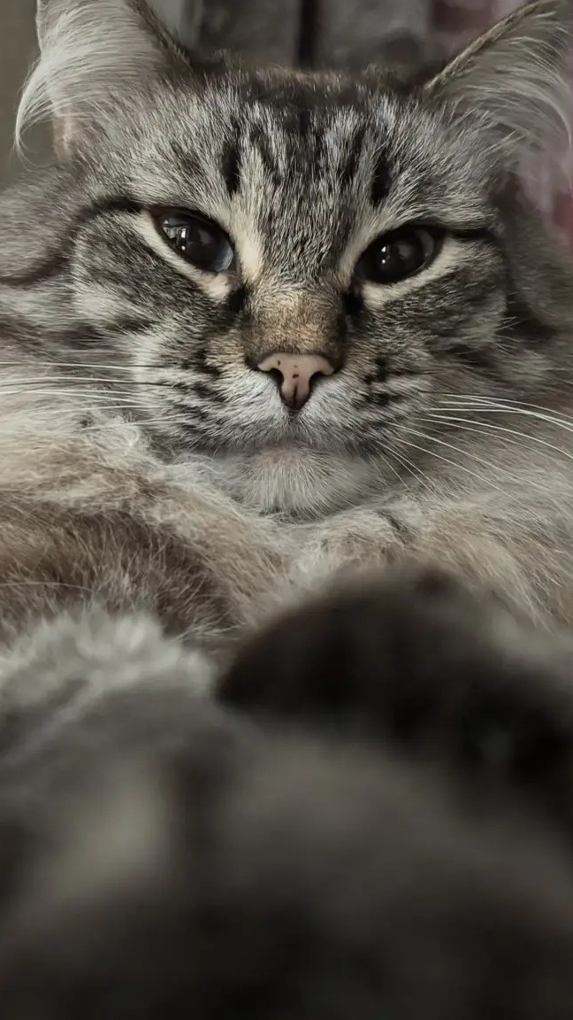 ко мне приехал подарочек. разбираю его. в описание заходите.