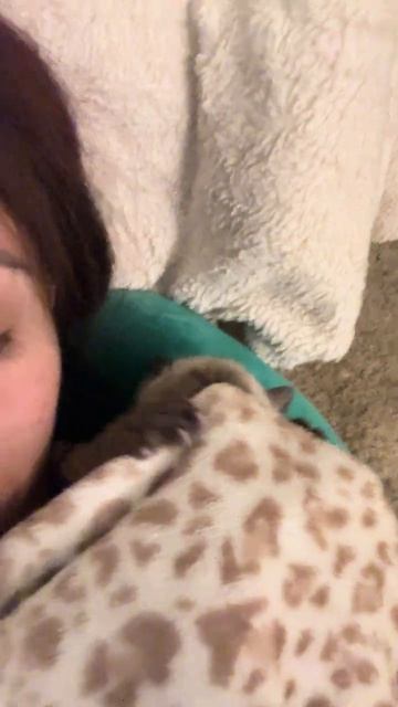 Он сам себя накрыл