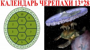 Календарь черепахи 13 месяцев в году.