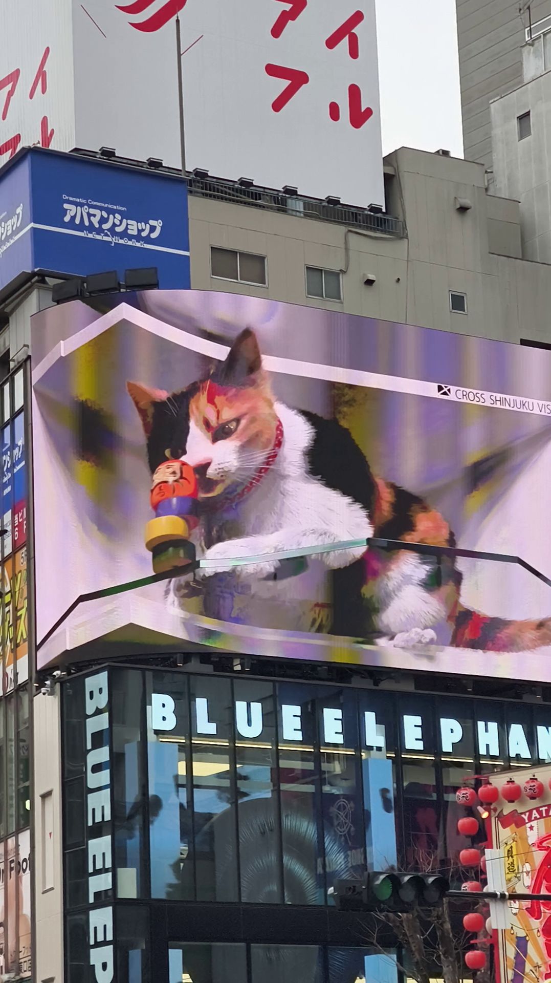 Япония 3D кошка в Токио