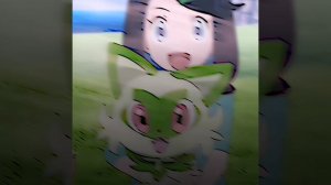 Pokemon Horizons-liko