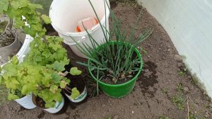 Холодный апрель 28.04.2026