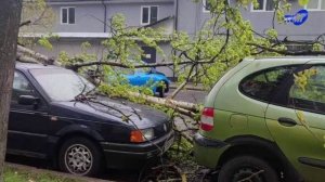 Оранжевый уровень опасности из-за сильного ветра