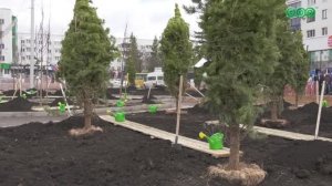 В Уфе прошла республиканская акция «Зеленая Башкирия»