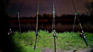 Рыбалка на ДВОЕ СУТОК. Дон. Улов есть!