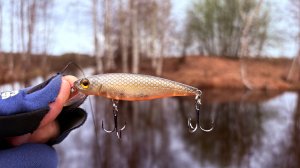 ОН ЛОВИТ ЩУКУ! Когда ВСЁ ОСТАЛЬНОЕ МОЛЧИТ Рыбалка на спиннинг 2026