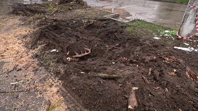 Апрельская зима - Метель и ураганный ветер обрушились на Тверскую область