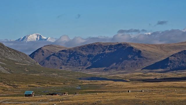 2025-08-11. Алтай, день 9. База «Теплый ключ» — Озера Зерлюколь-Нур и Каракуль — Кош-Агач