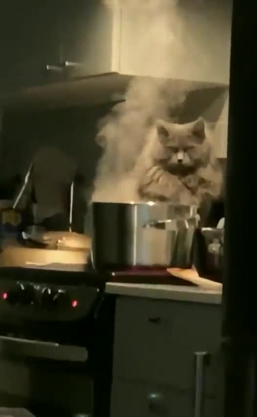 Суп C котом буквально